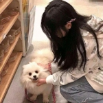 蛋蛋大乱斗破解版下载