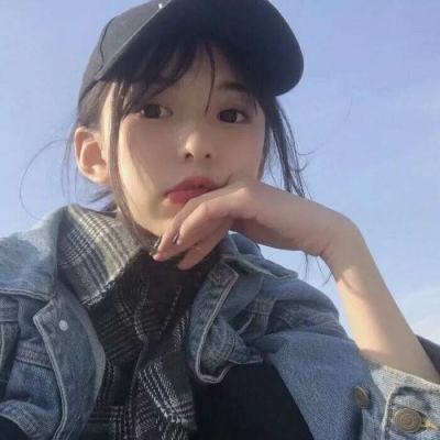 大城市生活模拟中文版下载